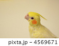 4569671