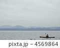 海津大崎