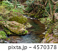 おだやかな渓流