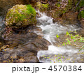 渓流の流れ