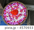 南国の浮き花