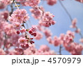 4570979