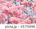 4570996