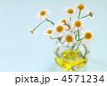 花瓶にいけたマトリカリア　ブルーバック