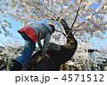 木登り(小学生)