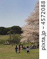 春の根岸森林公園