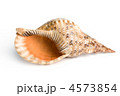 4573854