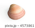 4573861