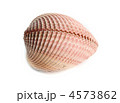 4573862