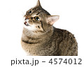 4574012
