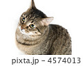 4574013