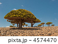 4574470