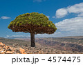 4574475