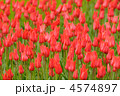 4574897