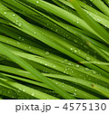 4575130