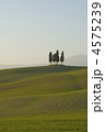 tuscan lanscape