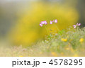 4578295