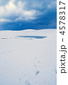 雪の鳥取砂丘