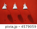 電灯
