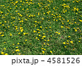 4581526