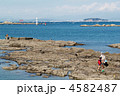 海岸から望む名島（菜島）