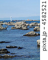 海岸から望む名島（菜島）