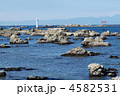 海岸から望む名島（菜島）
