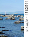 海岸から望む名島（菜島）