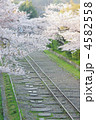 桜のインクライン