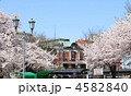桜満開の深谷駅
