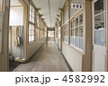 校舎 学校 廊下