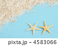 夏のイメージ