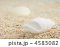 夏のイメージ