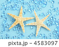 夏のイメージ
