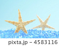 夏のイメージ
