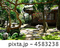 日本庭園