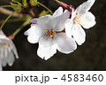 4583460