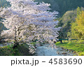 清流石川