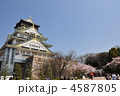 大阪城と桜