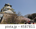 大阪城と桜