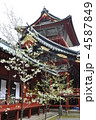 静岡浅間神社　大拝殿と桜