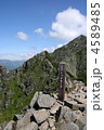 4589485