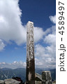 4589497