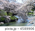千鳥ヶ淵の桜
