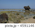 砂浜と珊瑚礁と青い空（鹿児島：奄美大島）