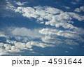 空　羊雲