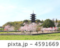 春の国分寺
