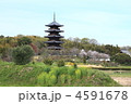 春の国分寺