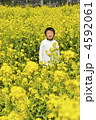 菜の花畑