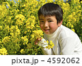 菜の花畑